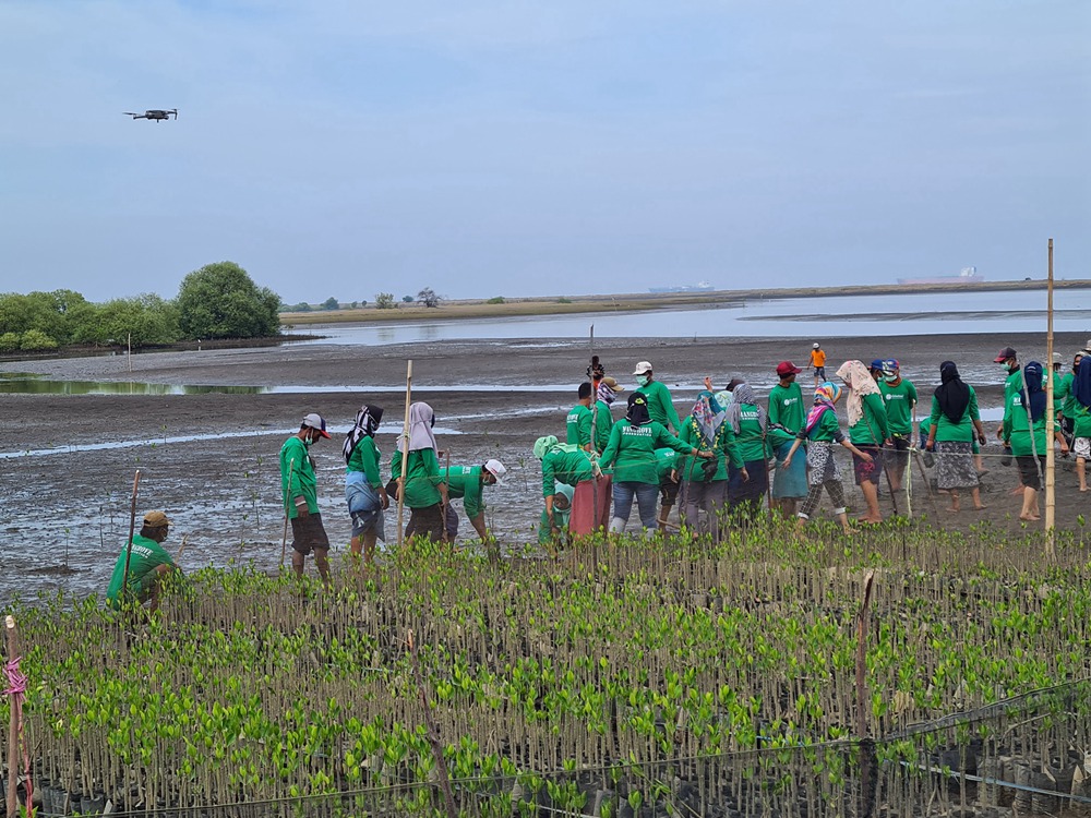 Empower women groups on mangrove conservation and sustainable products processing