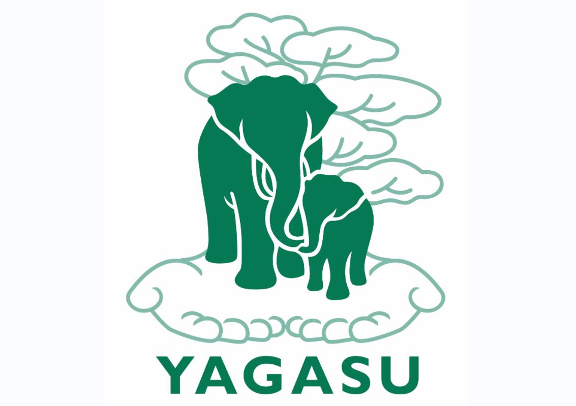 YAGASU Foundation (Indonesia)