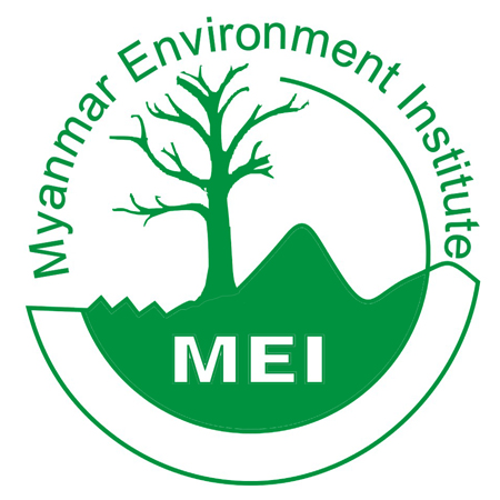 Introduction of MEI