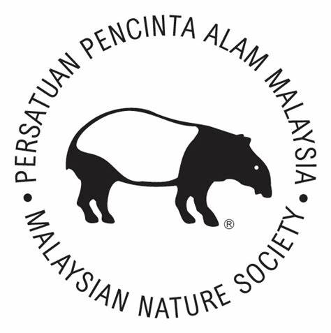 MNS