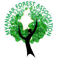Myanmar Forest Association (MFA)