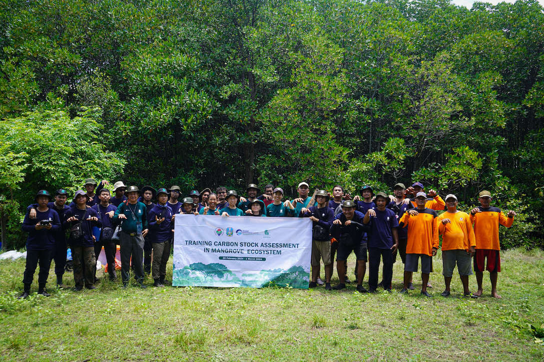 Carbon Stock Assessment Training in Mangrove Ecosystem